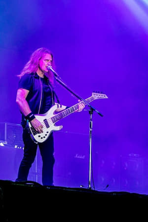 Megadeth: Rude Awakening