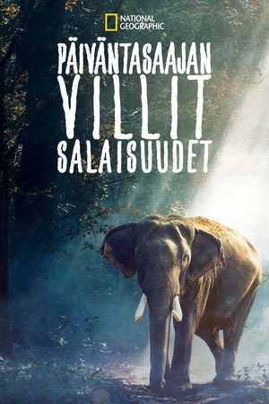 Päiväntasaajan villit salaisuudet