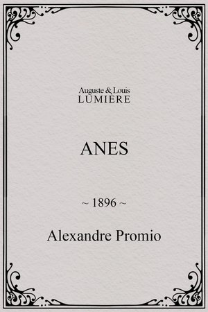 Anes