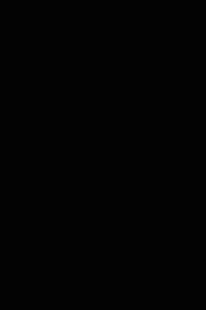 12. epizoda