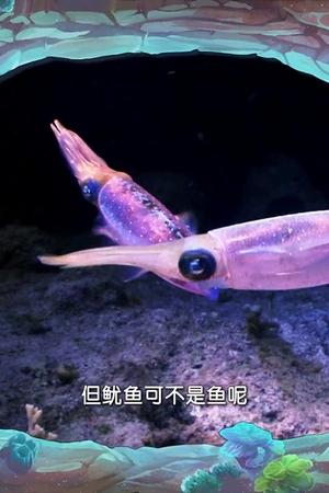 24. epizoda