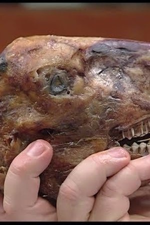 34. epizoda