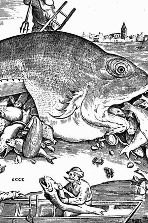 12. epizoda