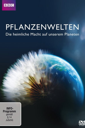 Pflanzenwelten - Die heimliche Macht auf unserem Planeten