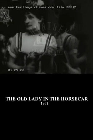 The Old Maid in the Horsecar