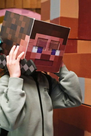 Minecraft IRL