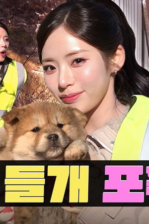 Thought We’d “Work Like Dogs”… So We Caught Strays | Animal Control | Workdol | fromis_9 Jiwon