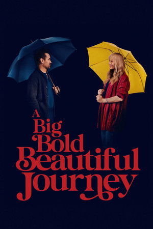 A Big Bold Beautiful Journey