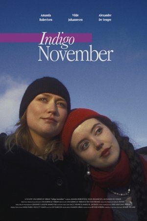 Indigo November