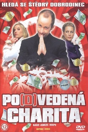 Po(d)vedená charita