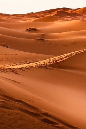 Journey into Nothingness