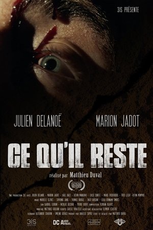 Ce qu'il reste