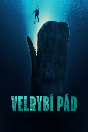 Velrybí pád