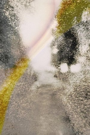 Brouillard #19