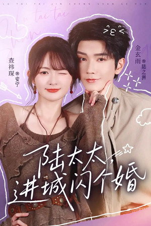 陆太太，进城闪个婚