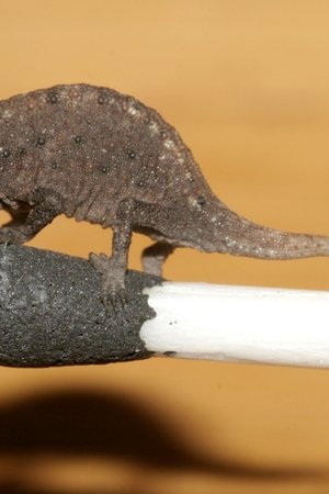 3. epizoda