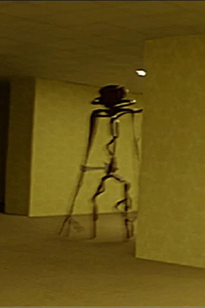 The Backrooms (Found Footage)