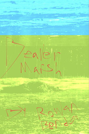 Beaver Marsh