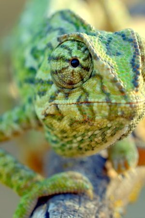 10. epizoda