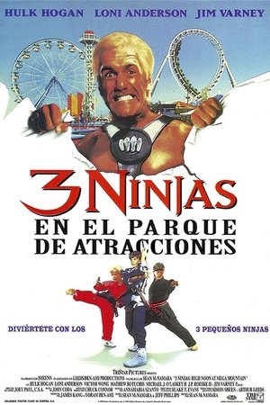 Imagen de 3 ninjas en el parque de atracciones
