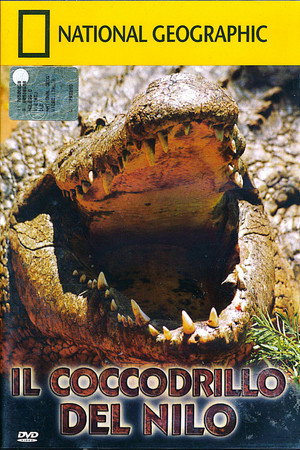 Il Coccodrillo del Nilo