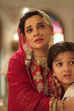Seher accepts Fareed's condition