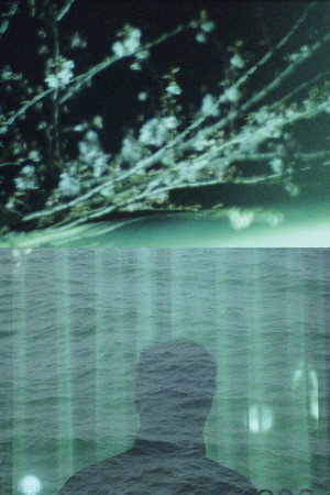 The Castaway