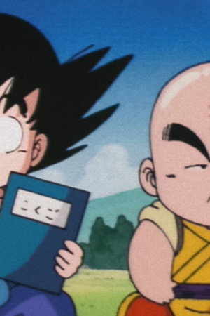 The Turtle Hermit Way