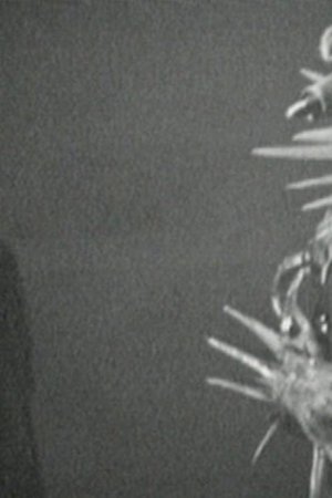 11. epizoda