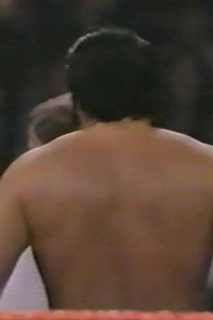 March 19, 1988 - Superstars of Wrestling 81
