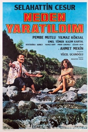 Neden Yaratıldım