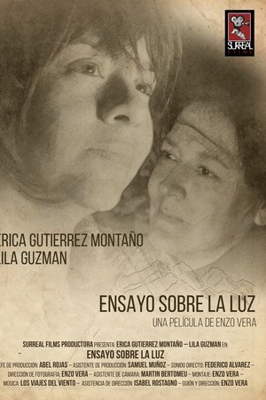 Ensayo Sobre la Luz
