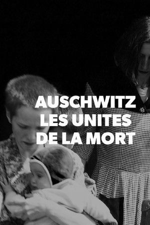 Auschwitz, les unités de la mort