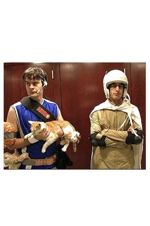 Laser Cats!