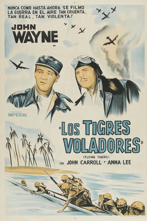 Los tigres voladores