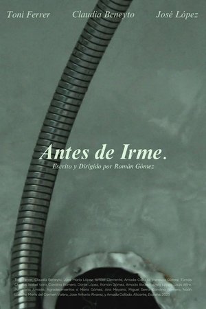 Antes de Irme