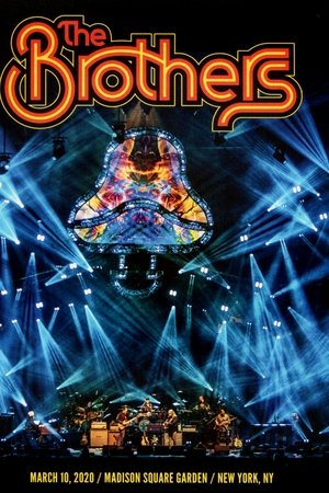 The Allman Brothers Band: The Brothers 50