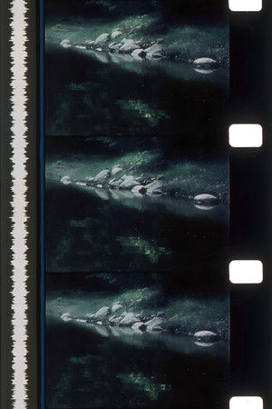 Rivers of Darkness / Rivers of Light