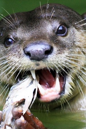 3. epizoda
