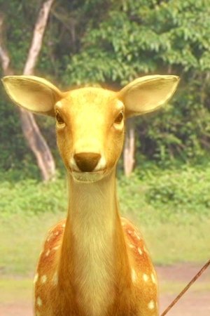 22. epizoda
