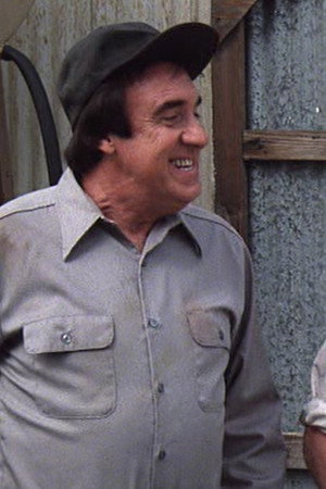 Return to Mayberry