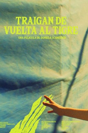 Traigan de vuelta al tigre