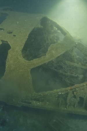 epizoda