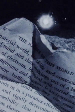 Street Film Part III