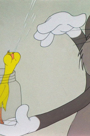The Cagey Canary