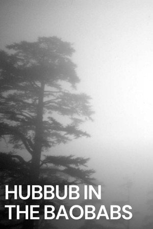 Hub-bub in the Baobabs