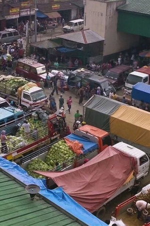 The Philippine Serpentines