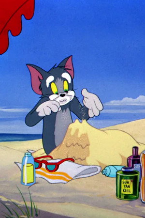 The Cat And The Mermouse