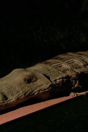 Aliens and Strange Creatures