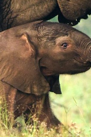 6. epizoda